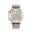 Grand Complications Platinum 6104/12P-010